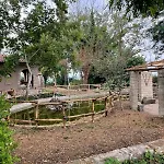 Curatola