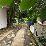 住宿加早餐酒店 Curatola Spilinga