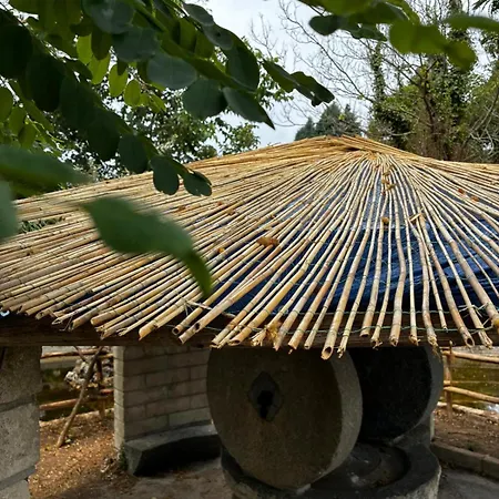 Curatola