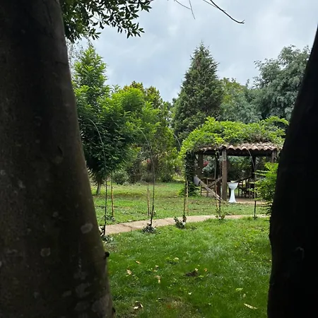 Bed & Breakfast Curatola Comerconi