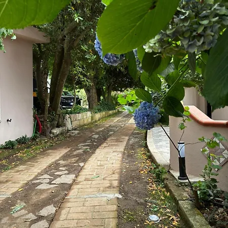 Bed & Breakfast Curatola Comerconi